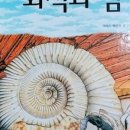 윤꼬 이미지
