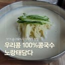 노랑태;담다