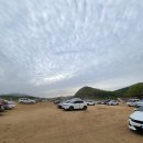 목계리 | [충청북도 충주] 엄정 목계나루 유채꽃밭 인생사진 찍어야지