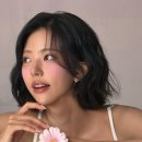 청초 - 의정부시 추동로108번길 17 | 청초