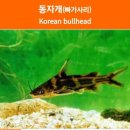 솔밭 민물매운탕 이미지