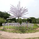 선양유치원 이미지