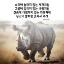 위너스메디칼 이미지