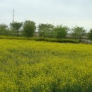 수변공원(1-4) 이미지