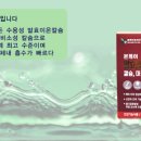 본케어코리아