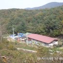 콩각시 농원 이미지