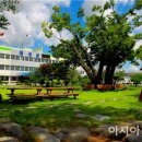 곡성-221 이미지