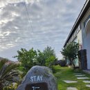 스테이돌덕 이미지