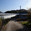 박병일농장 이미지