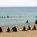 송정연가 이미지