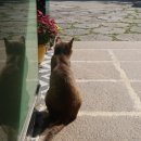 외포리꽃게마을 이미지