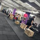 헬스피티 이미지