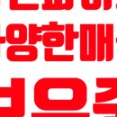 오동동104 이미지