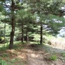 춘천태동요양병원 이미지