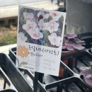 이천시민다육 이미지