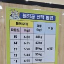 탄천종합운동장 (스포츠센터) | 야탑 볼링장 탄천종합운동장 탄천스포츠센터 볼링장