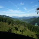 신리태양광발전소 이미지