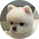 식당] 중식여왕 정지선님의! '티엔미미 홍대점' 두 번 가본 솔직 후기 &amp; 캐치테이블 예약 꿀팁 대방출