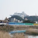 금진초등학교 이미지