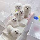 무무유치원 | 충청남도 천안시 무무유치원, 후기, 가는법, 가격