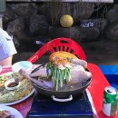 장흥 산벚나무길 | [내돈내산] 장흥계곡 발담구고 먹는 백숙 맛집 양주 솔내음 식당 후기 인스타 핫플 애견동반가능