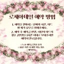 티니네일 이미지