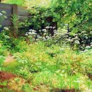 나바호