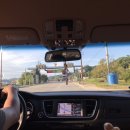 약수골캠프촌 오토캠핑장 이미지