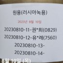 김*흥 이미지