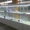 우리애견 이미지