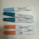 자담치킨송도글로벌점 | 3~5월 👶🏻🤍