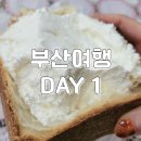 2박3일 부산여행 1일차 :: 고속버스 프리미엄, 소미딤섬만두, 제주곤이칼국수 서면, 신세계센텀시티 호우섬
