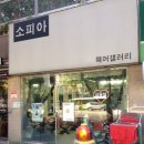 소피아헤어샵 이미지