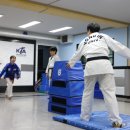 용인대 태권도장 이미지