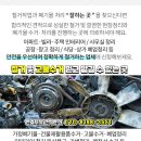 라온카센타 이미지
