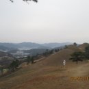 주산산림욕장 Daum카페