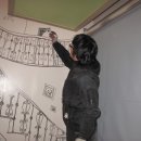 텐프로무인텔 이미지