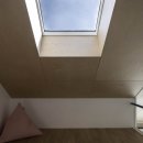 호미양양 이미지