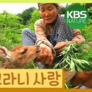 남원 산내면 팔랑마을 - 김채옥(환경스페셜) 이미지