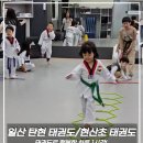 태화태권도장 이미지