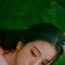 지수 카카오 검색결과