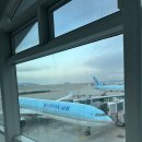 819 | 인천 ➡️ 장사 대한항공 KE819 탑승기 &amp; 짧은 입국 심사 후기 ✈