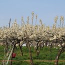 새실농장 이미지