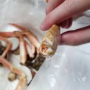 춘천농수산물도매시장 | 구리농수산물도매시장 사랑수산~ 구리수산시장 대게, 생선회 전문점 ; 대게 3kg 조개모듬 2kg 구매 후기.