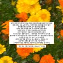 GS25 마포구청역점 | 시간을 돌려 다시 혼자 남은 내 방