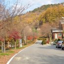 백야자연휴양림 오토캠핑장 이미지