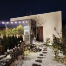 별시도룩 이미지