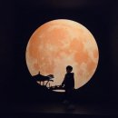강북화원