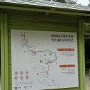 만주농장 | [평창여행코스 추천] 대관령 목장 삼양라운드힐-실버벨교회-동물농장까지 하루에 즐긴 감성 코스!