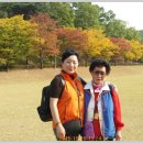 남양성지로 이미지